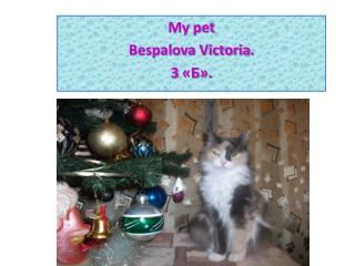 My pet Bespalova Victoria . 3 «Б».