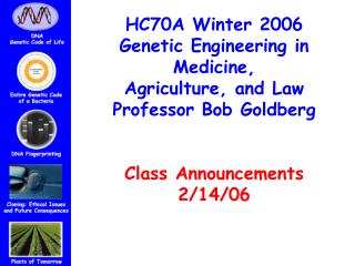 HC70A Winter 2006 Genetic Engineering in Medicine, Agriculture, and Law Professor Bob Goldberg