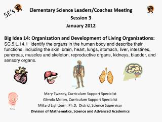 Elementary Science Leaders/Coaches Meeting Session 3 January 2012