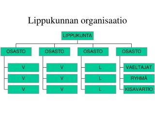 Lippukunnan organisaatio