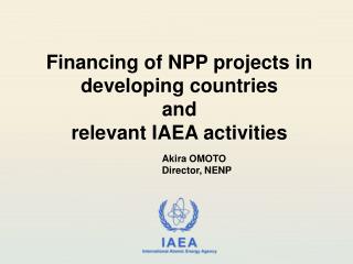 Financing of NPP projects in developing countries and relevant IAEA activities