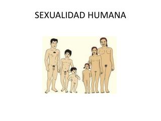 SEXUALIDAD HUMANA