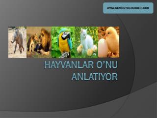 HAYVANLAR O’NU ANLATIYOR