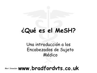 ¿Qué es el MeSH?