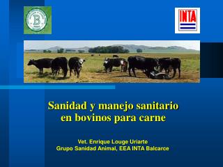 Sanidad y manejo sanitario en bovinos para carne