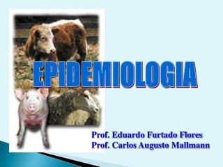 EPIDEMIOLOGIA