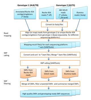 Annotated Roche 454 contigs /singletons (*. fasta )