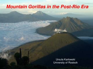 Mountain Gorillas in the Post-Rio Era