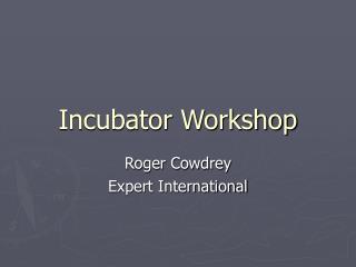 Incubator Workshop