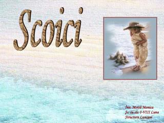 Scoici
