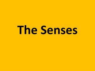 The Senses