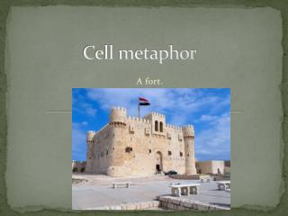 Cell metaphor