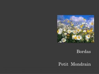 Bordas Petit Mondrain