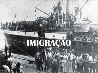 IMIGRAÇÃO