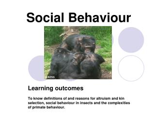 Social Behaviour