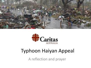 Typhoon Haiyan Appeal