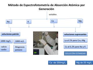 Método de Espectrofotometría de Absorción Atómica por Generación