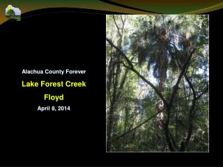 Alachua County Forever Lake Forest Creek Floyd April 8, 2014