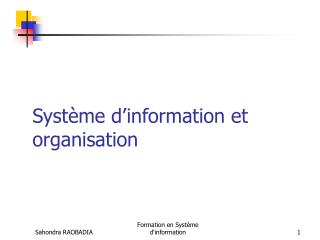 Système d’information et organisation