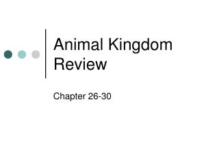 Animal Kingdom Review
