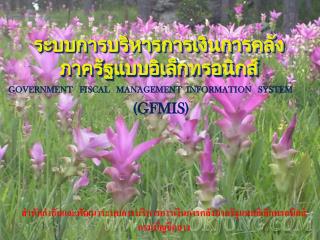 ระบบการบริหารการเงินการคลังภาครัฐแบบอิเล็กทรอนิกส์