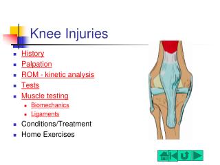 Knee Injuries