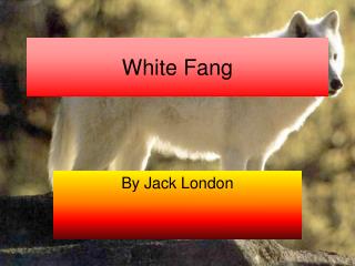 White Fang