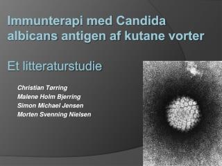 Immunterapi med Candida albicans antigen af kutane vorter Et litteraturstudie