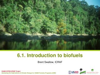 6.1. Introduction to biofuels