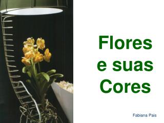 Flores e suas Cores