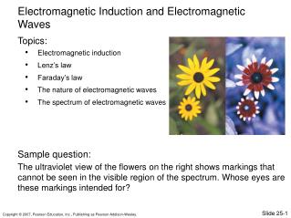 Electromagnetic induction Lenz’s law Faraday’s law The nature of electromagnetic waves