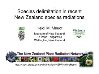 Species delimitation in recent New Zealand species radiations