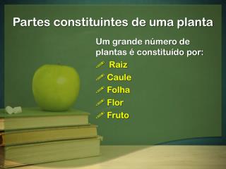 Partes constituintes de uma planta