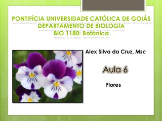 PONTIFÍCIA UNIVERSIDADE CATÓLICA DE GOIÁS DEPARTAMENTO DE BIOLOGIA BIO 1180: Botânica