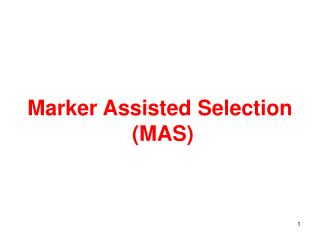 Marker Assisted Selection (MAS)