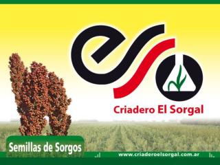 CRIADERO “EL SORGAL” MAS DE 20 AÑOS………