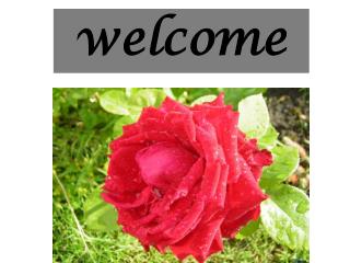 welcome