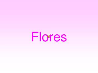 Flores