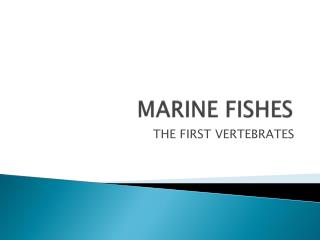 MARINE FISHES