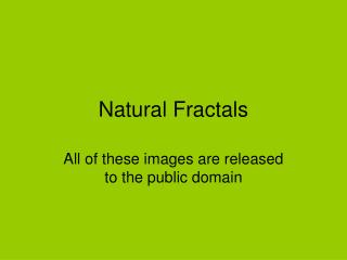 Natural Fractals