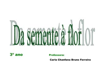 Da semente à flor