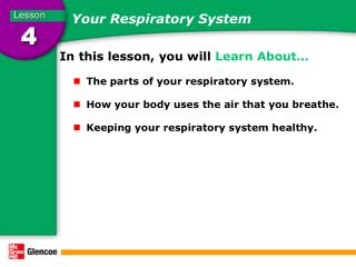 Your Respiratory System