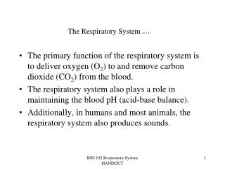 The Respiratory System rev 1-13