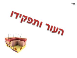 העור ותפקידו