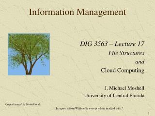 Information Management