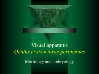 Visual apparatus Oculus et structurae pertinentes