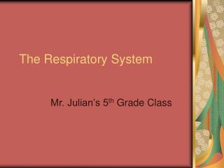 The Respiratory System