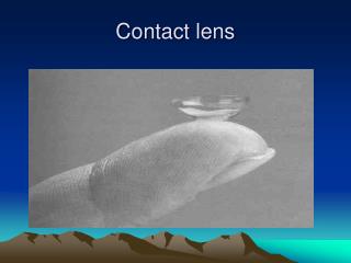 Contact lens