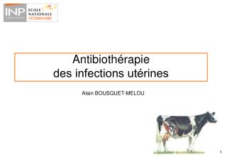 Antibiothérapie des infections utérines