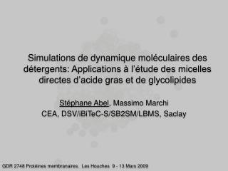 Stéphane Abel , Massimo Marchi CEA, DSV/iBiTeC-S/SB2SM/LBMS, Saclay